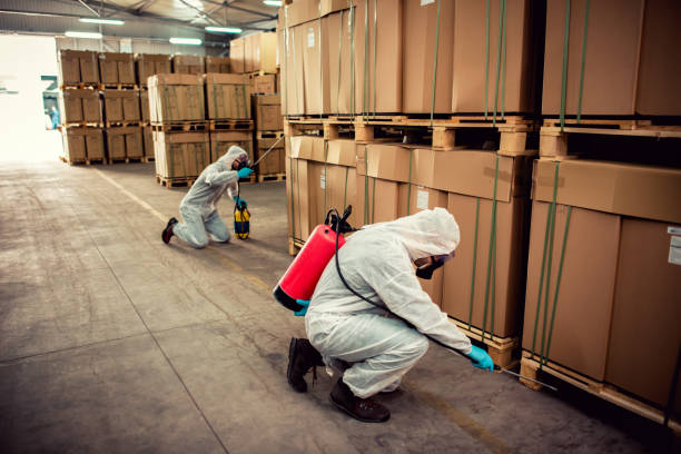 Best Ant Control Services  in Genoa, IL
