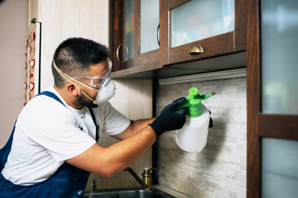 Best Flea Control Services  in Genoa, IL
