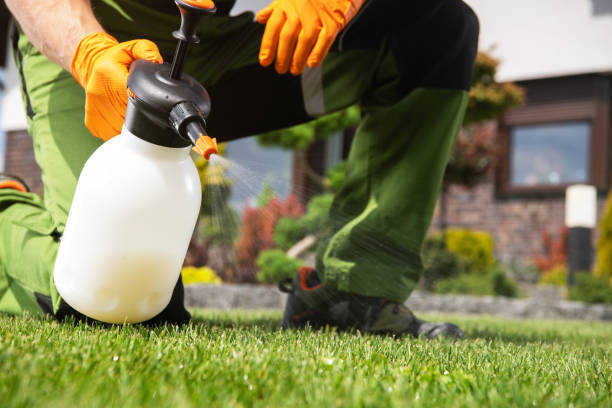 Best Wasp Removal Services  in Genoa, IL