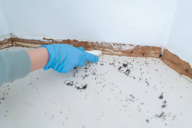 Best Local Pest Control Services  in Genoa, IL