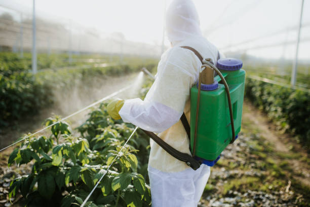 Best Emergency Pest Control  in Genoa, IL